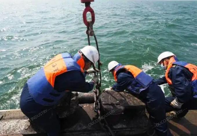 τα seaworkers συγκεντρώνουν τους θαλάσσιους γερανούς
